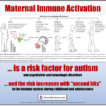 Maternal Immune Activation and Autism