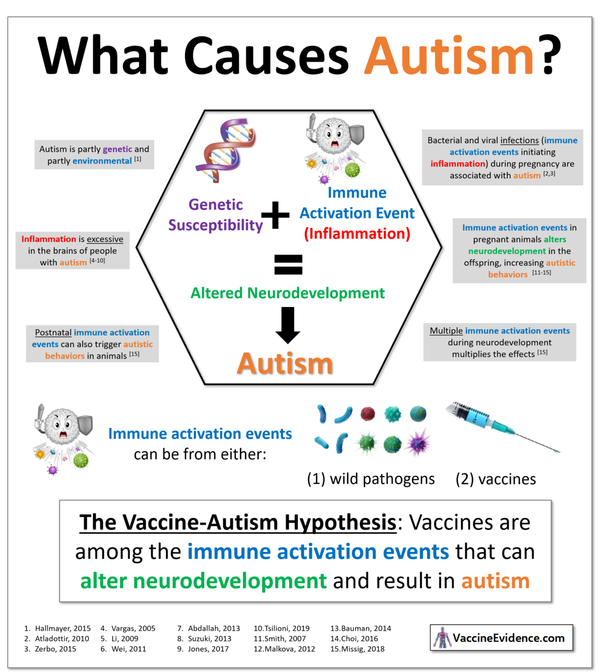 The Vaccine-Autism Hypothesis