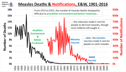 How We Conquered Measles