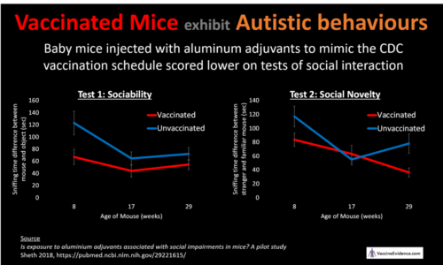 Vaccinated Mice exhibit Autistic behaviours