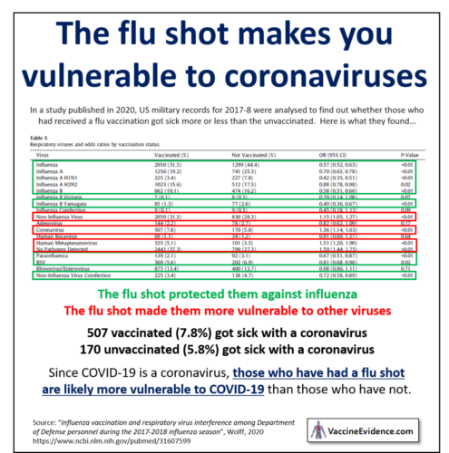 The Flu Shot and Coronaviruses
